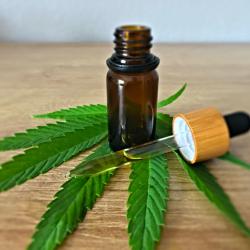 What Problems Can CBD Help Treat?