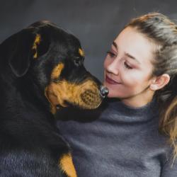 Can CBD Oil Shrink Lipomas in Dogs?