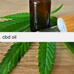 Top CBD Companies in the USA: A Comprehensive Review